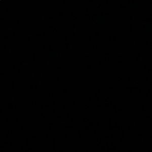 Meet your Posher, Arlette